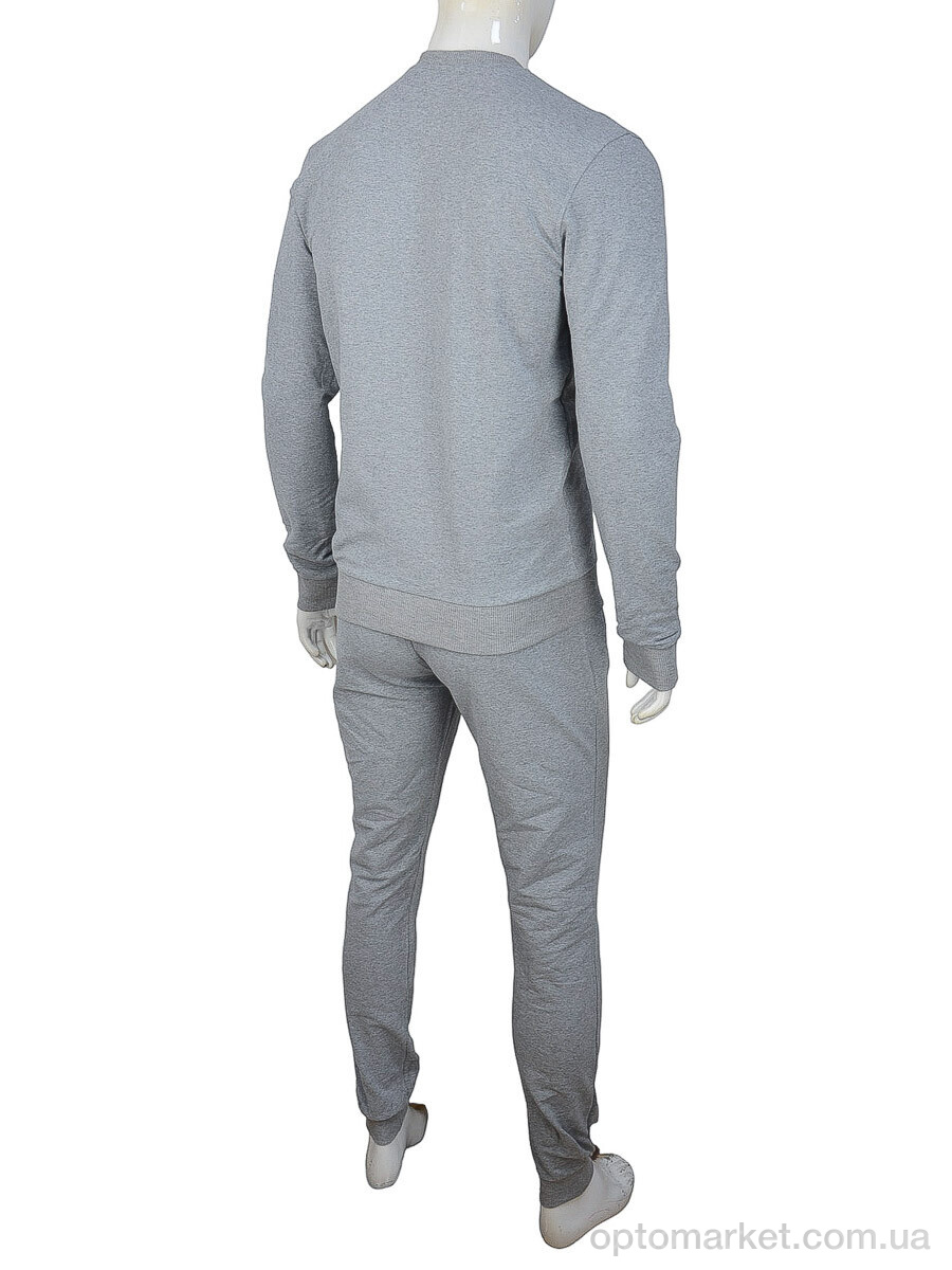 Купить Спортивний костюм чоловічі 02947 l.grey G.orgio Armani сірий, фото 3