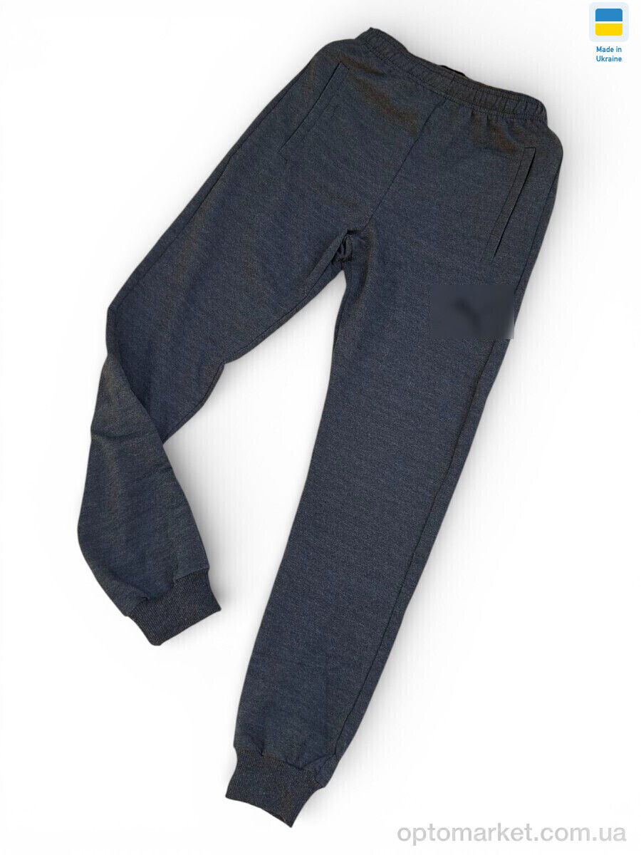 Купить Спортивні штаны чоловічі 02Pu т.сірий P.ma сірий, фото 1