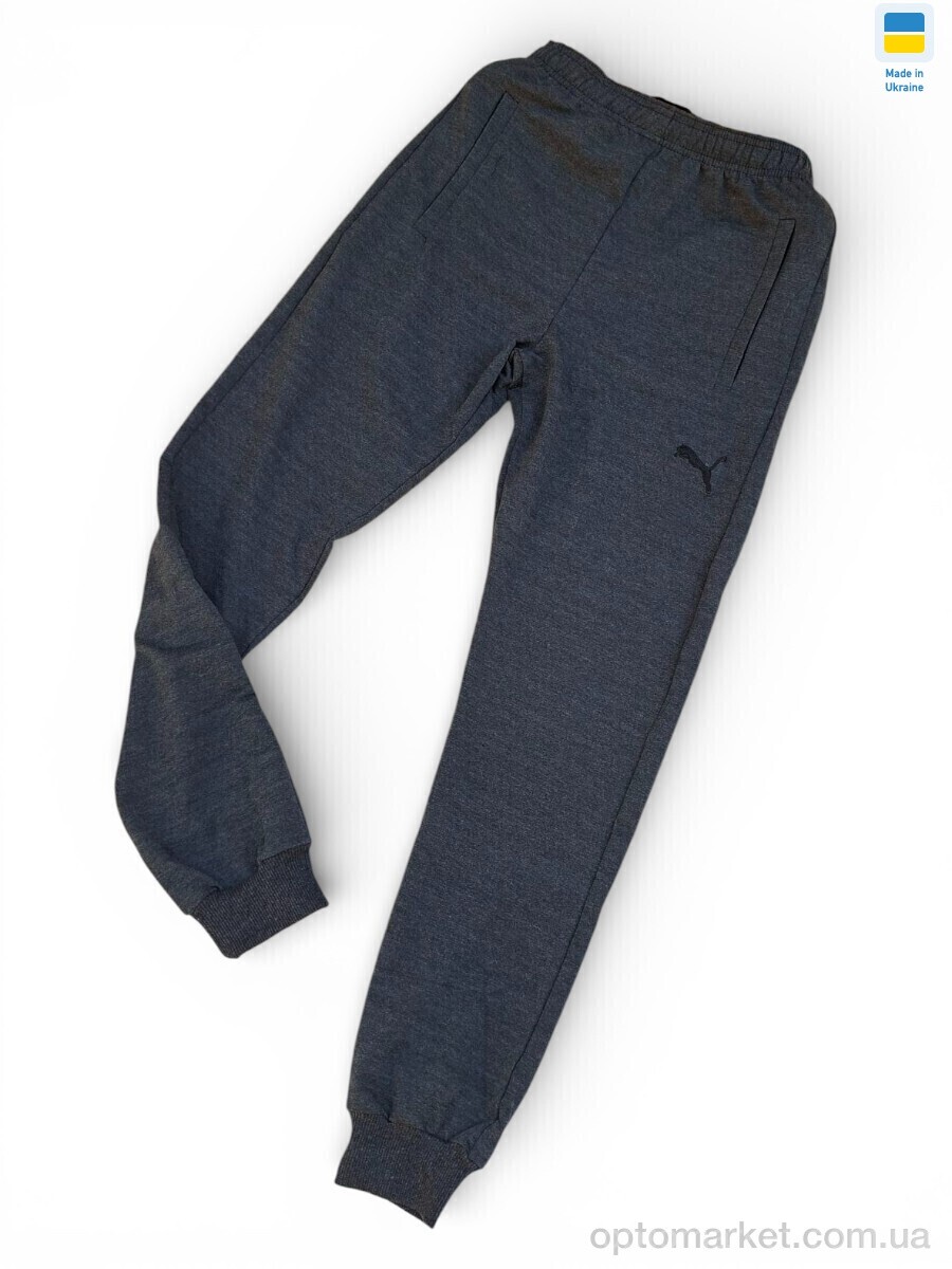 Купить Спортивні штаны чоловічі 02Pu т.сірий P.ma сірий, фото 2