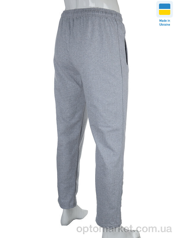 Купить Спортивні штаны чоловічі 05631-5 grey N.ke сірий, фото 3