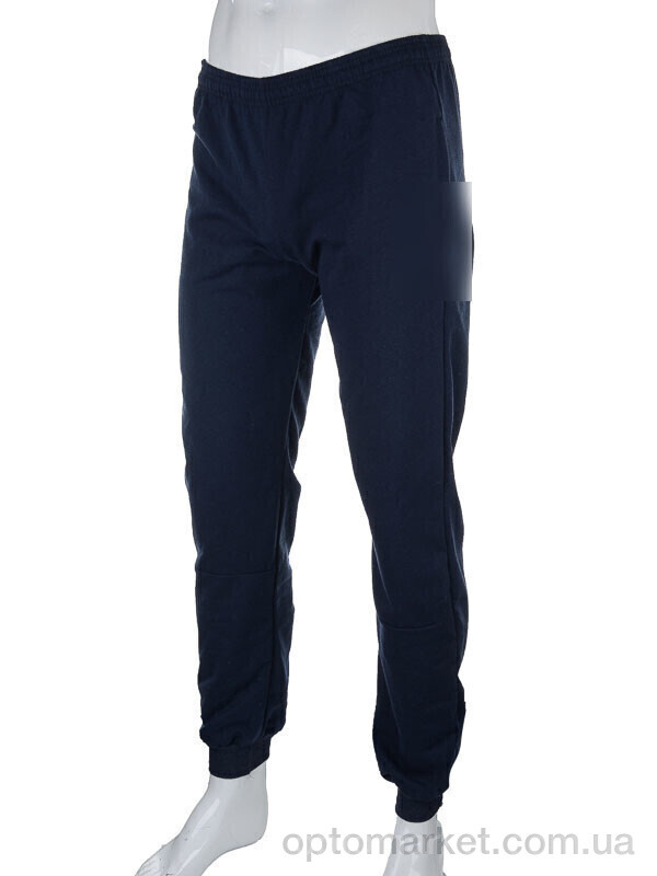 Купить Спортивні штаны чоловічі 05806 navy Obuvok синій, фото 1