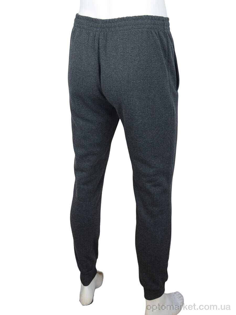 Купить Спортивні штаны чоловічі 06991 grey, флис Obuvok сірий, фото 2
