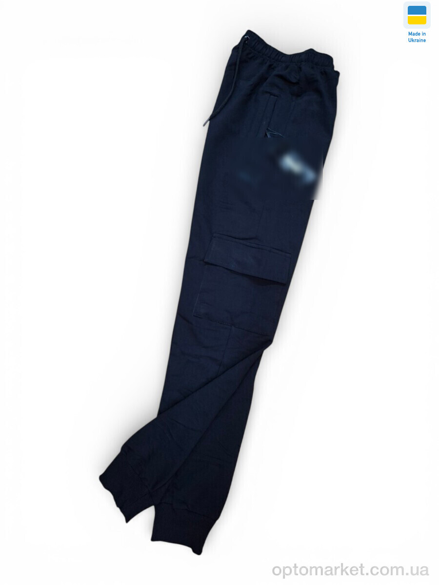 Купить Спортивні штаны чоловічі 07PU чорний P.ma чорний, фото 1