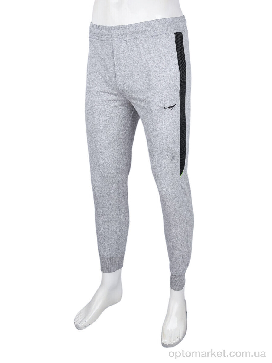 Купить Спортивні штаны чоловічі 0859 l.grey Cita сірий, фото 1
