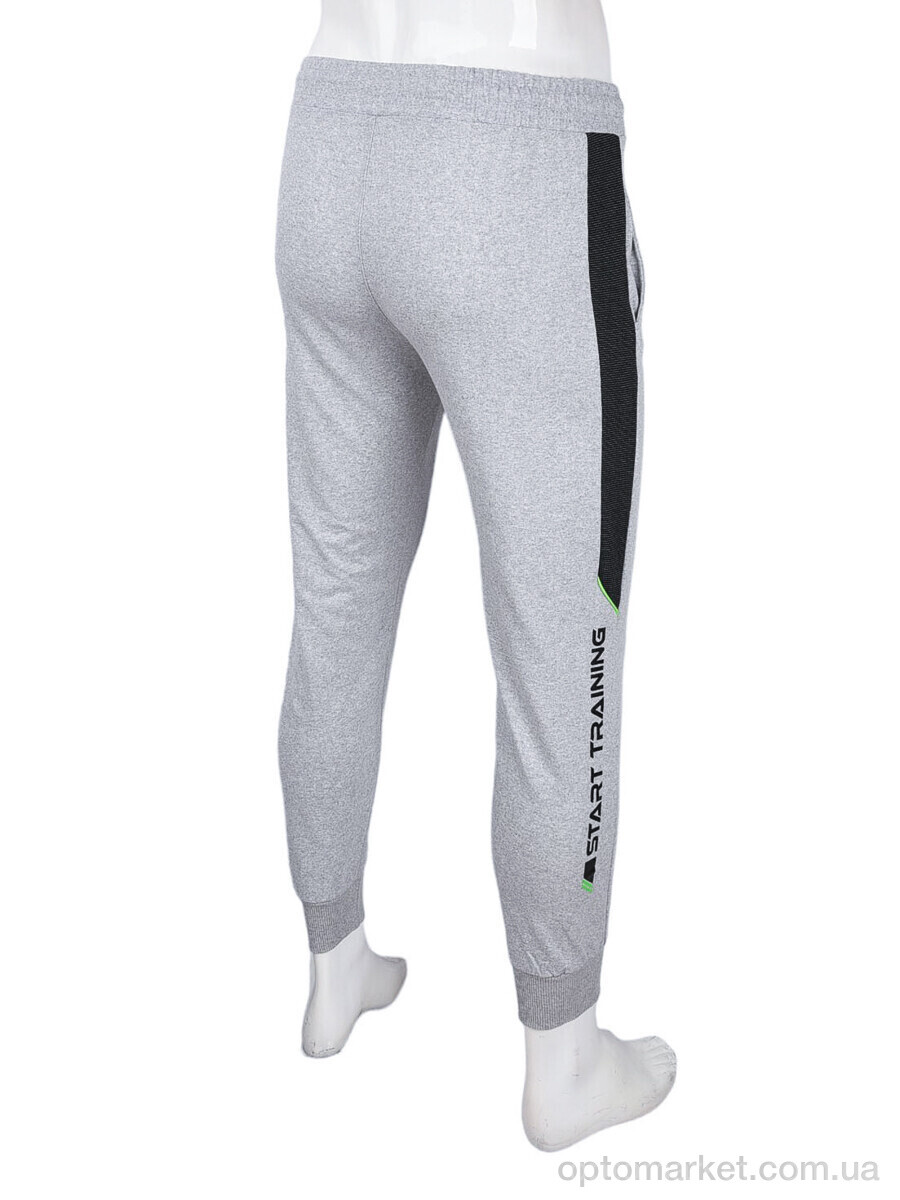 Купить Спортивні штаны чоловічі 0859 l.grey Cita сірий, фото 2