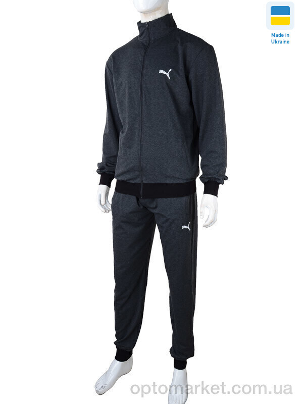 Купить Спортивний костюм чоловічі 101 grey (05907) P.ma сірий, фото 2