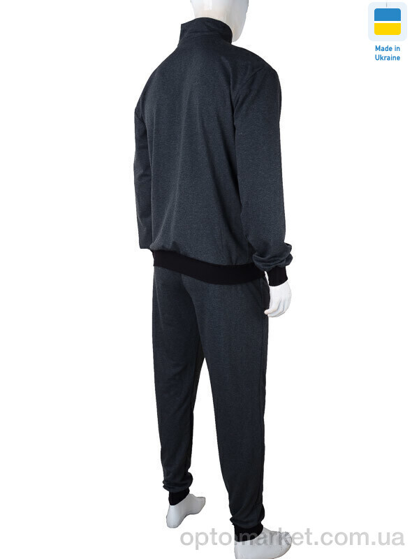 Купить Спортивний костюм чоловічі 101 grey (05907) P.ma сірий, фото 3