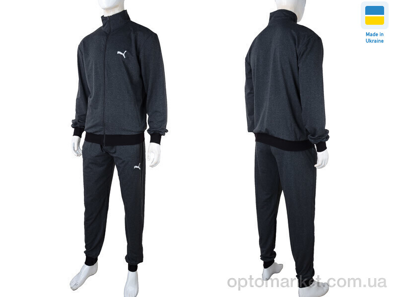 Купить Спортивний костюм чоловічі 101 grey (05907) P.ma сірий, фото 4