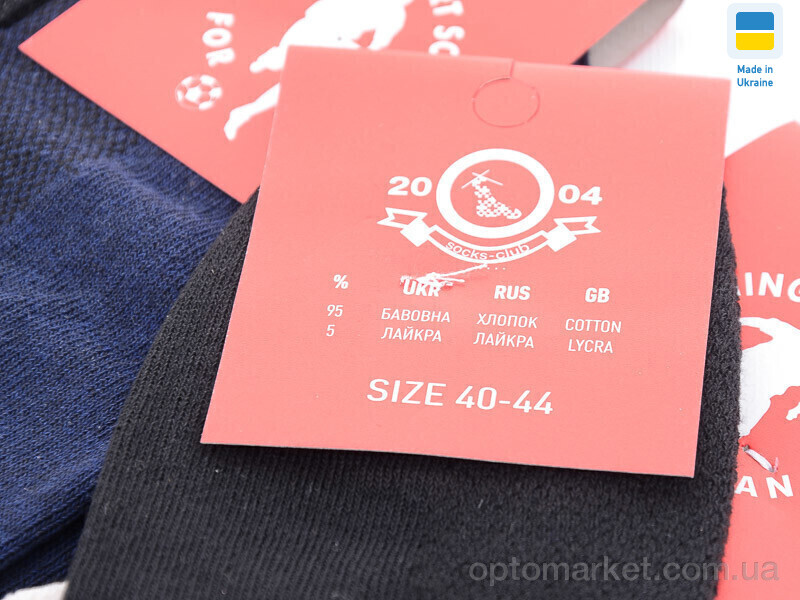 Купить Шкарпетки чоловічі 1011SP сітка mix Socks-Club мікс, фото 2