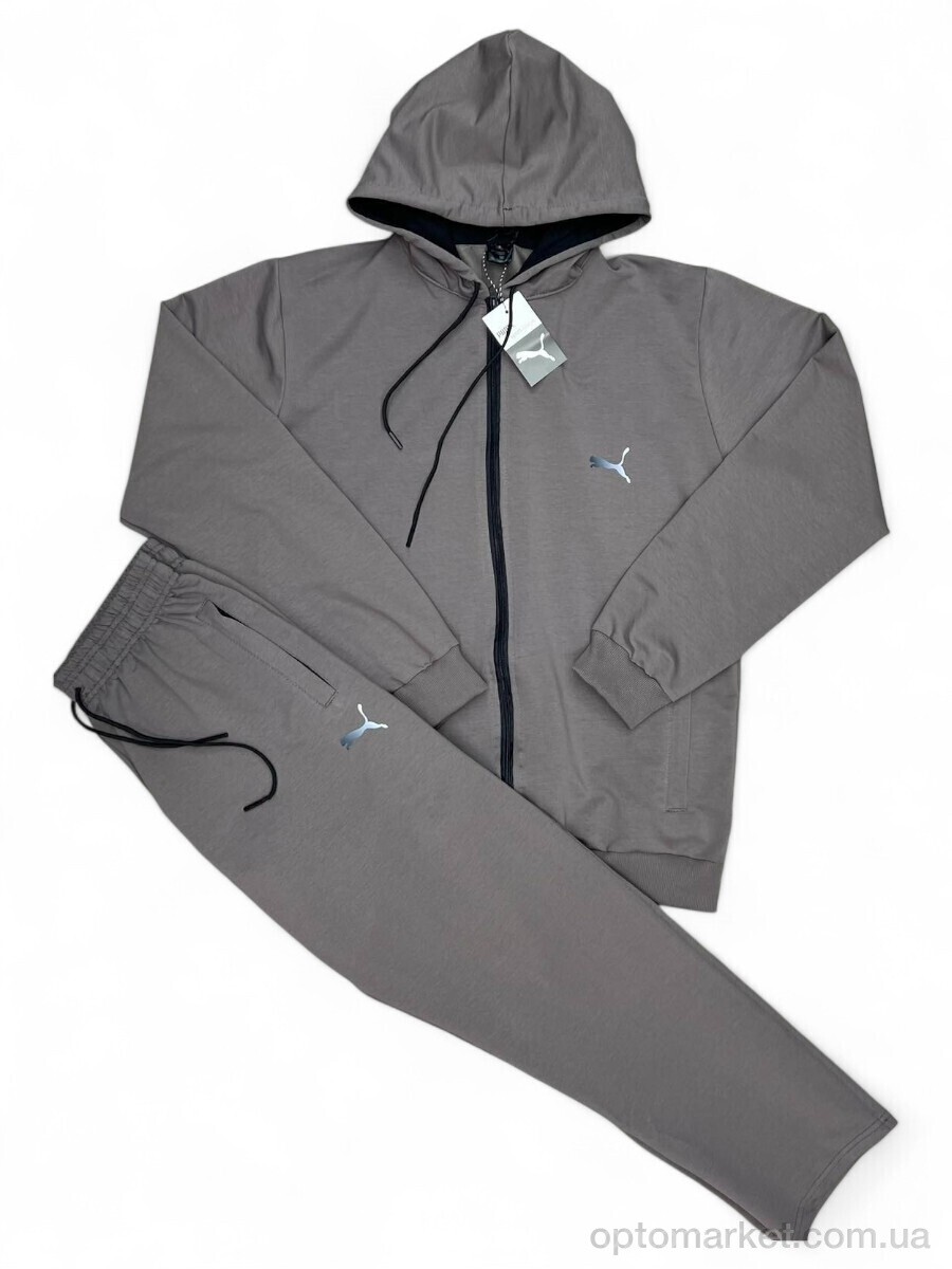 Купить Спортивний костюм чоловічі 102 grey P.ma сірий, фото 2