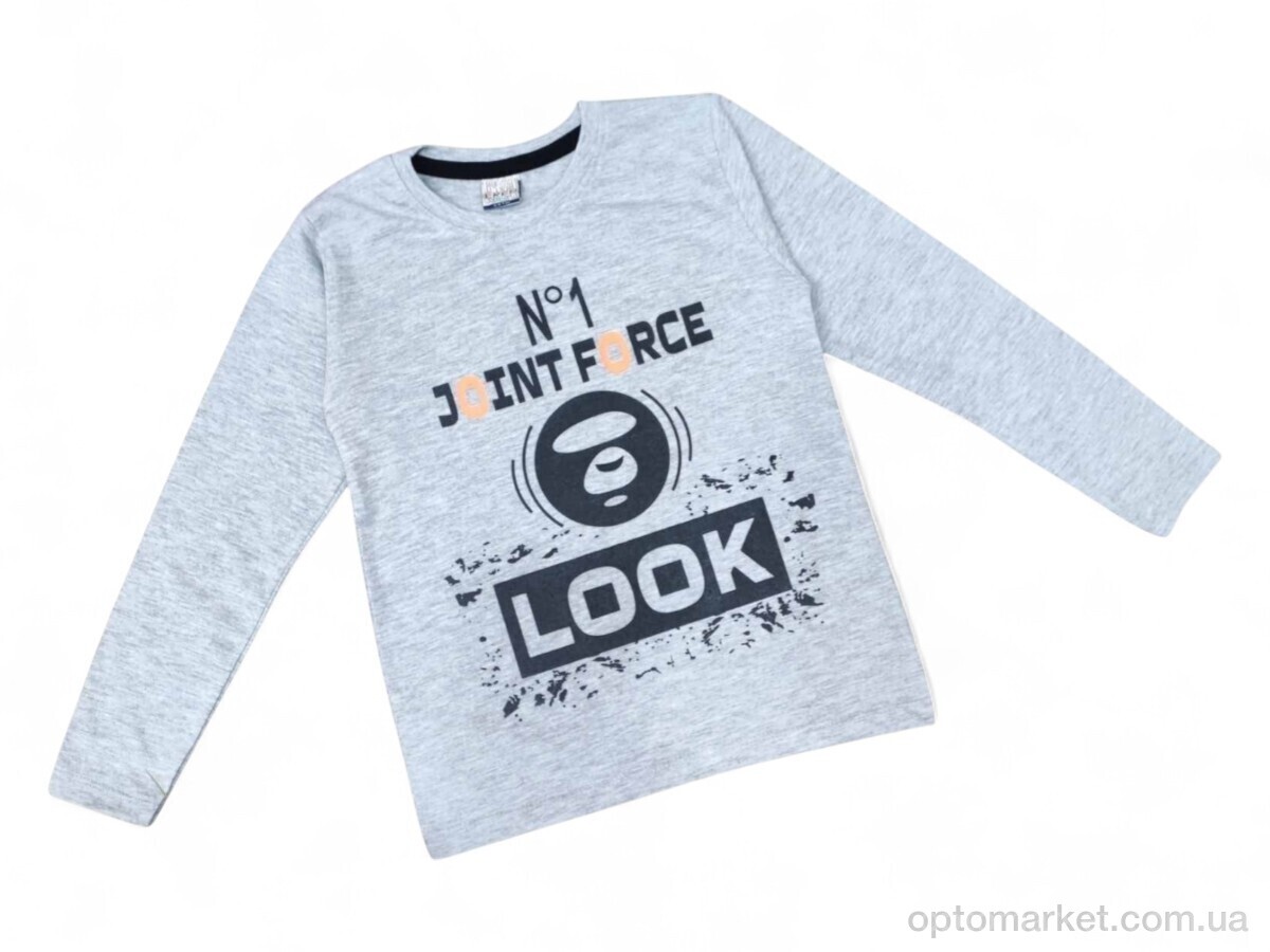 Купить Батник дитячі 105-2 св.сірий Eren Kids сірий, фото 1