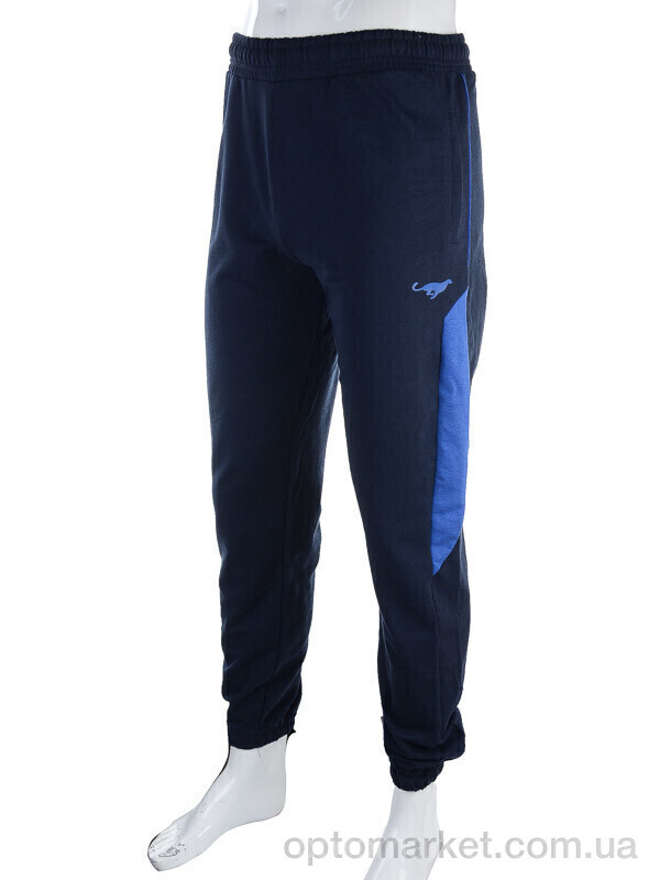 Купить Спортивні штаны чоловічі 1569 blue Cita синій, фото 1