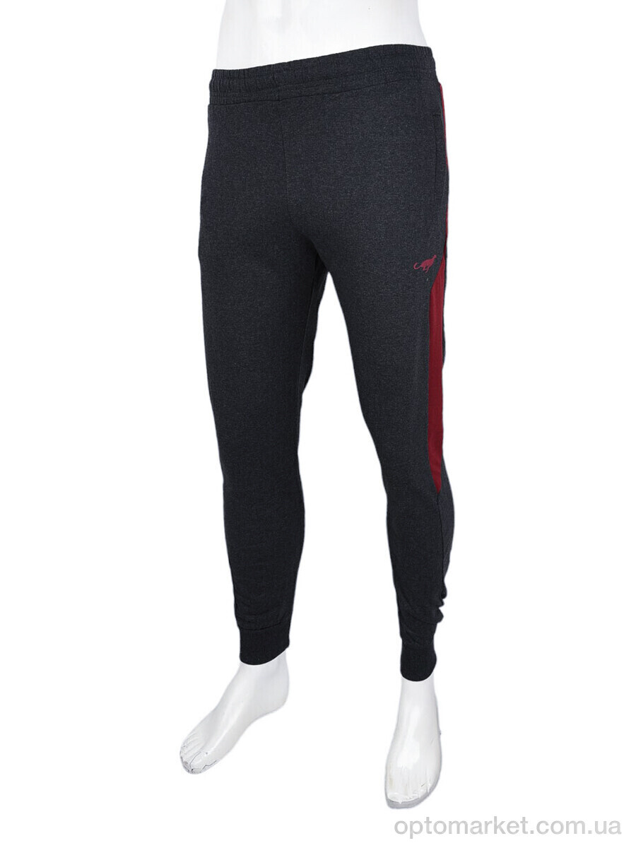 Купить Спортивні штаны чоловічі 1569 d.grey Cita сірий, фото 1