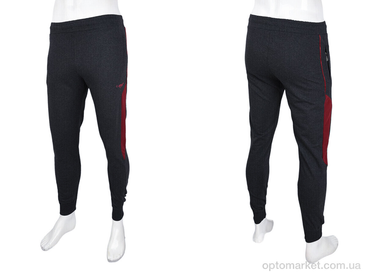 Купить Спортивні штаны чоловічі 1569 d.grey Cita сірий, фото 3