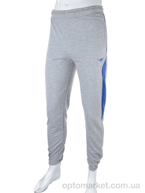 Купить Спортивні штаны чоловічі 1569 grey Cita сірий, фото 1
