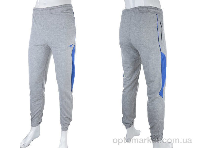 Купить Спортивні штаны чоловічі 1569 grey Cita сірий, фото 3