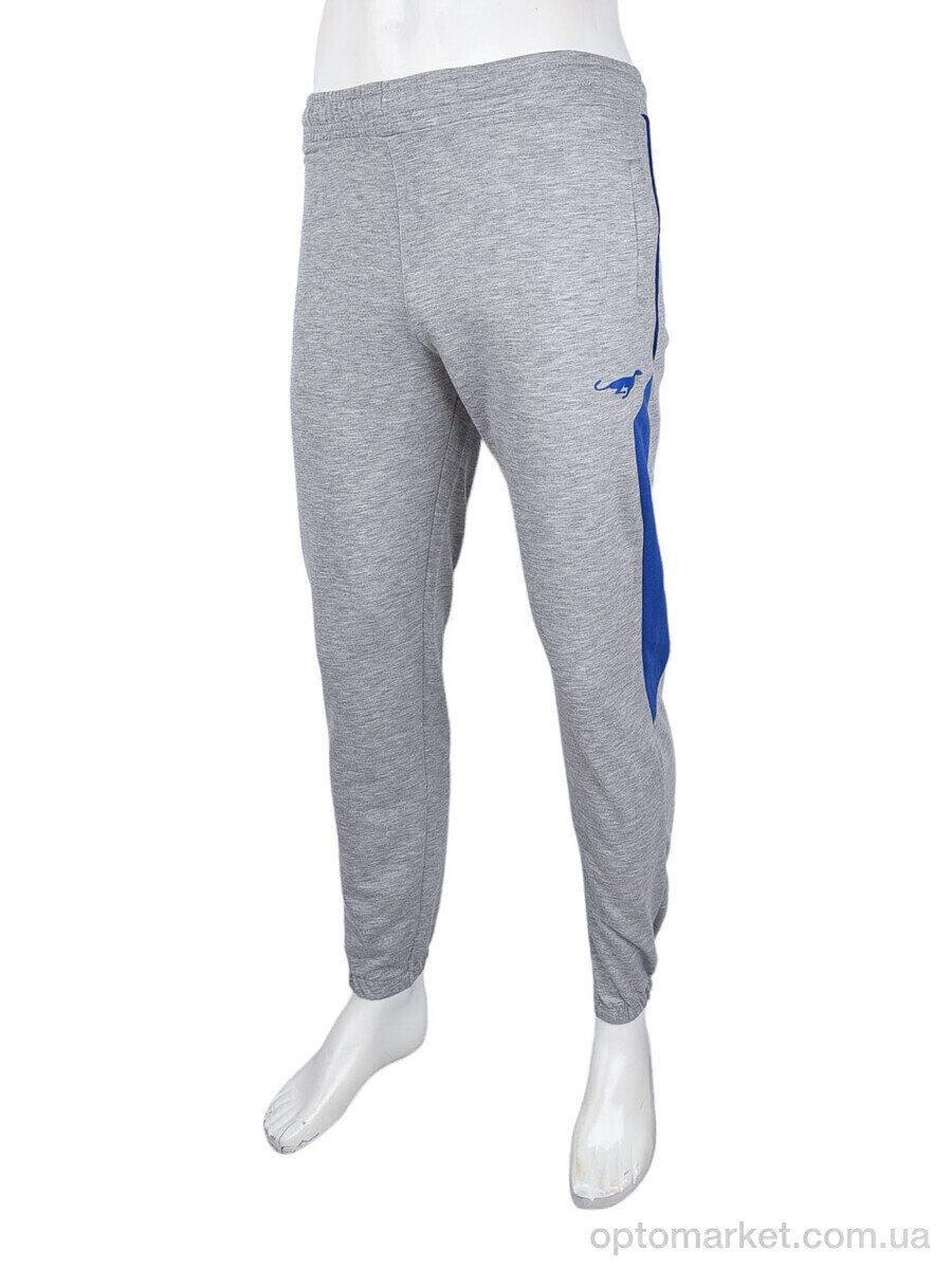 Купить Спортивні штаны чоловічі 1569 l.grey Cita сірий, фото 1