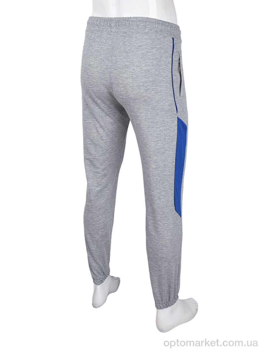 Купить Спортивні штаны чоловічі 1569 l.grey Cita сірий, фото 2