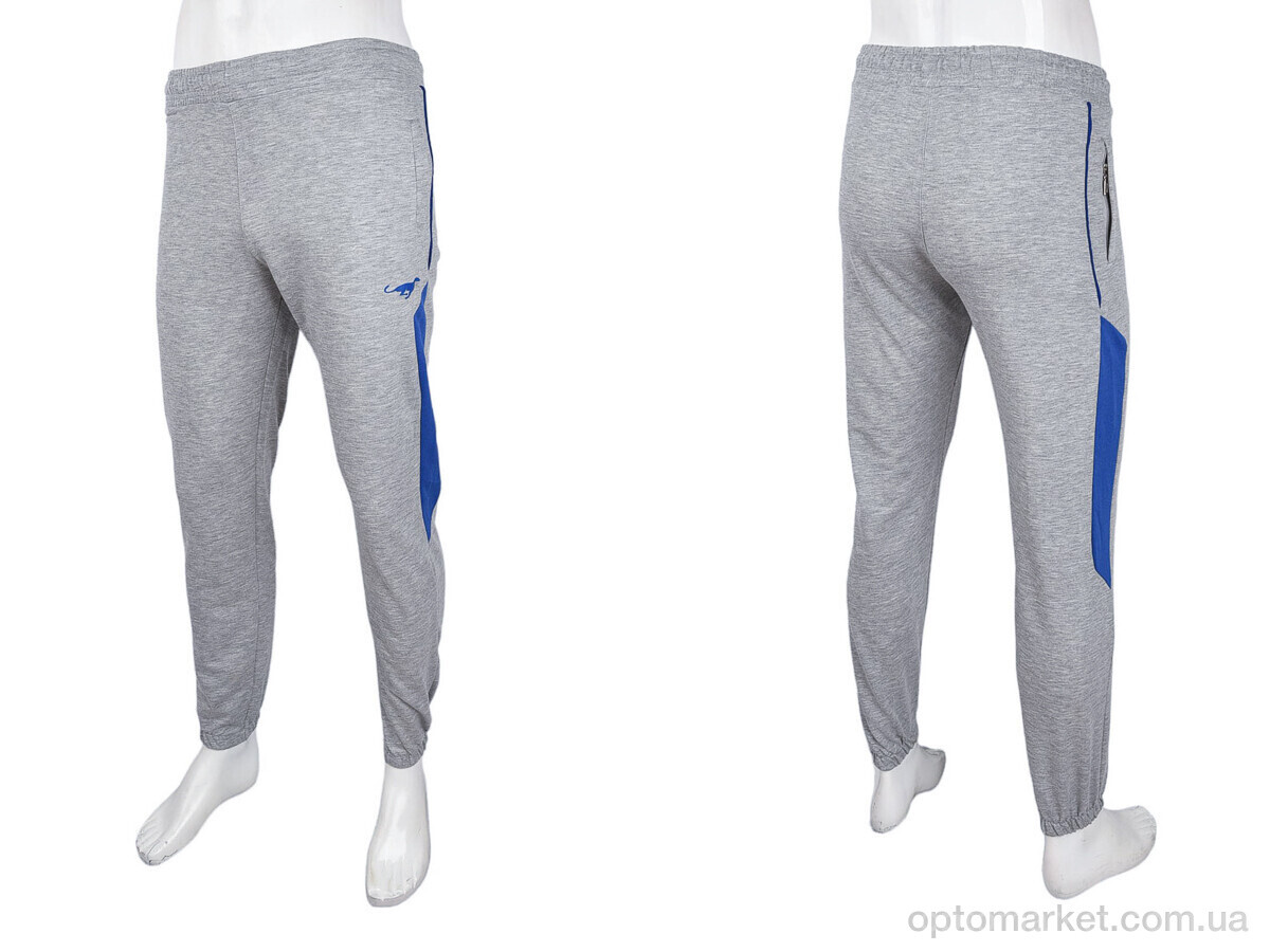 Купить Спортивні штаны чоловічі 1569 l.grey Cita сірий, фото 3