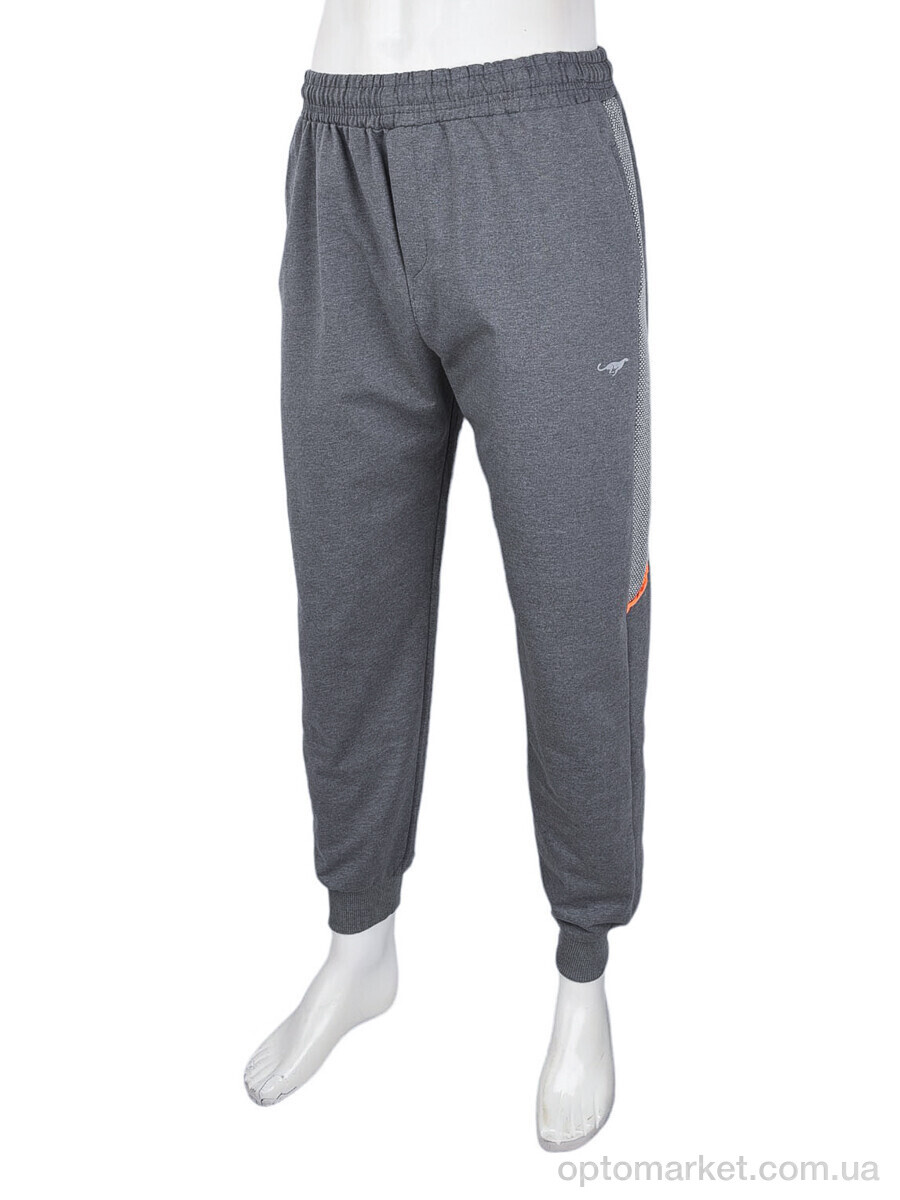 Купить Спортивні штаны чоловічі 1689 grey Cita сірий, фото 1