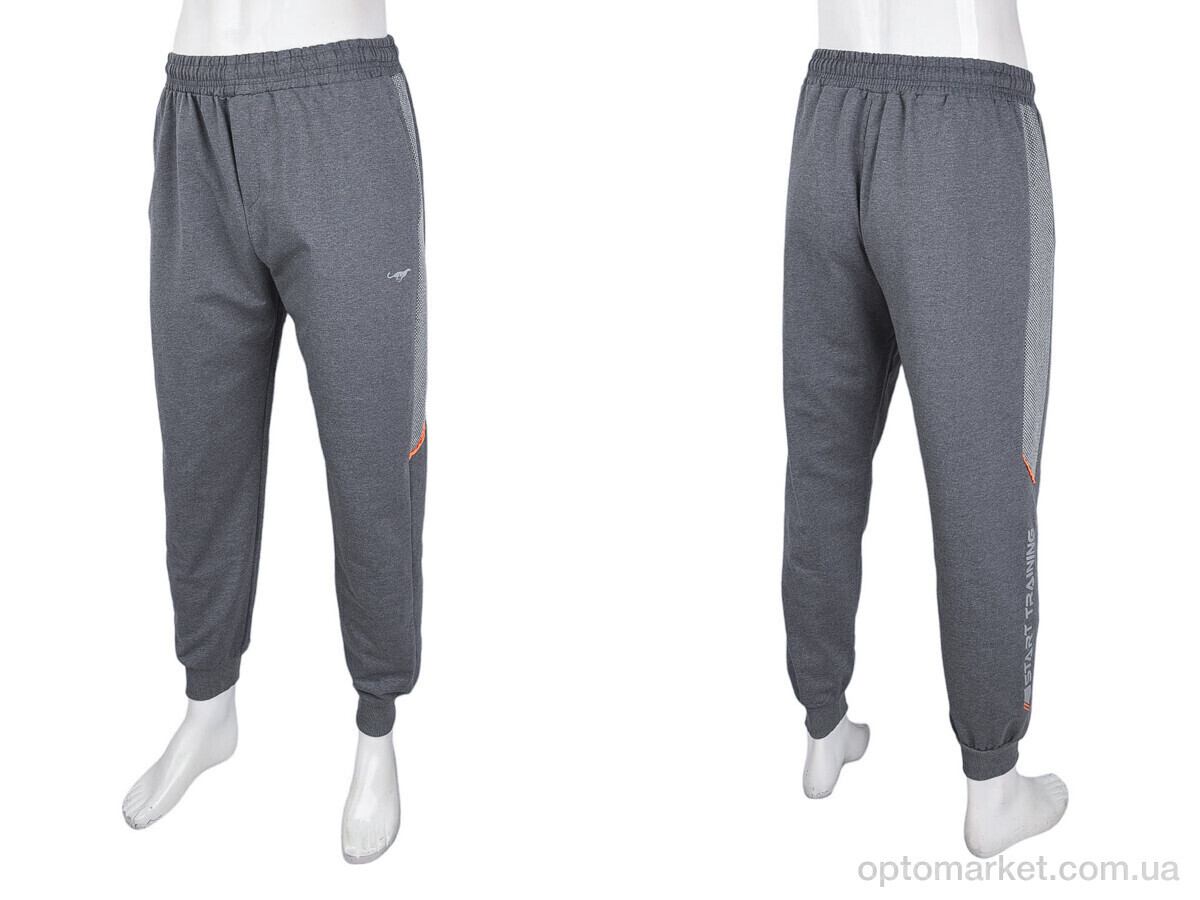 Купить Спортивні штаны чоловічі 1689 grey Cita сірий, фото 3