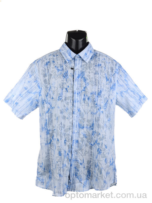 Купить Рубашка мужчины 176-9 Emerson голубой, фото 1