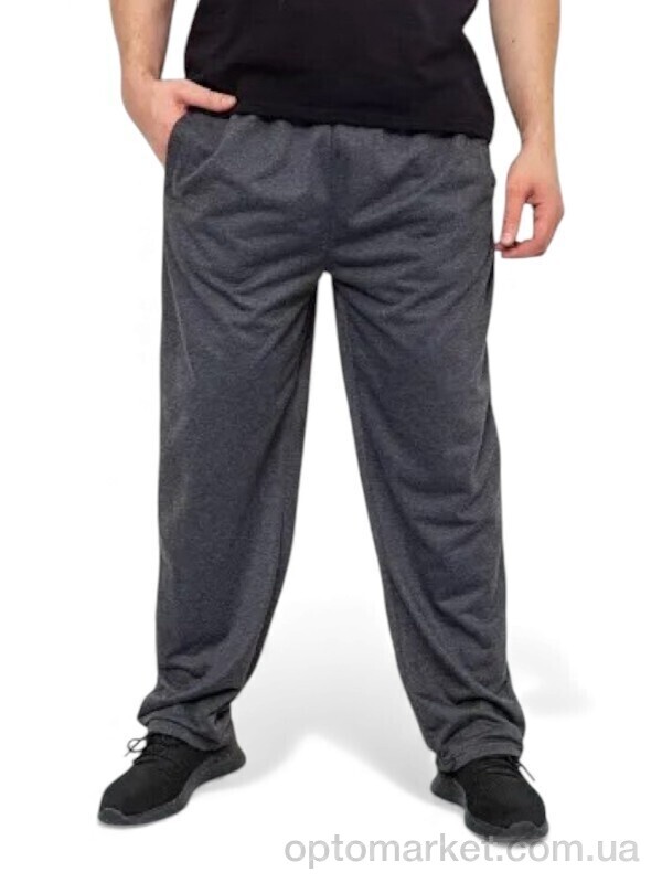Купить Спортивні штаны чоловічі 184 сірий Riza сірий, фото 1