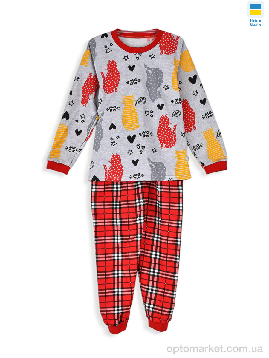 Купить Пижама дитячі 195365 grey Kir15 сірий, фото 1