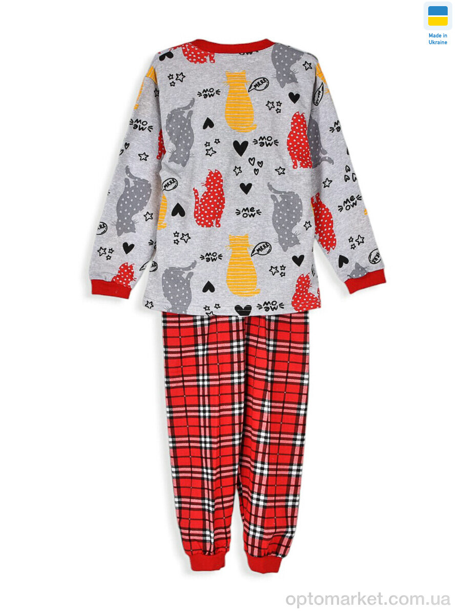 Купить Пижама дитячі 195365 grey Kir15 сірий, фото 2