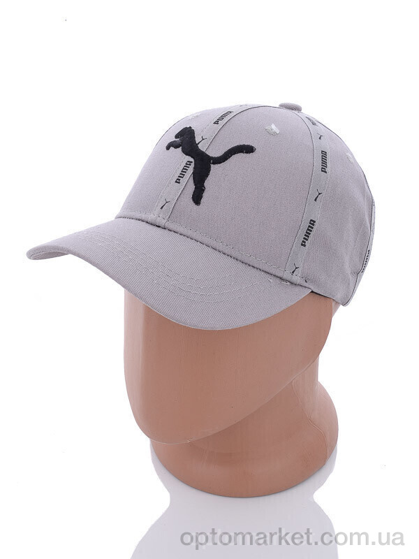 Купить Кепка чоловічі 2012-2 grey P.ma сірий, фото 2