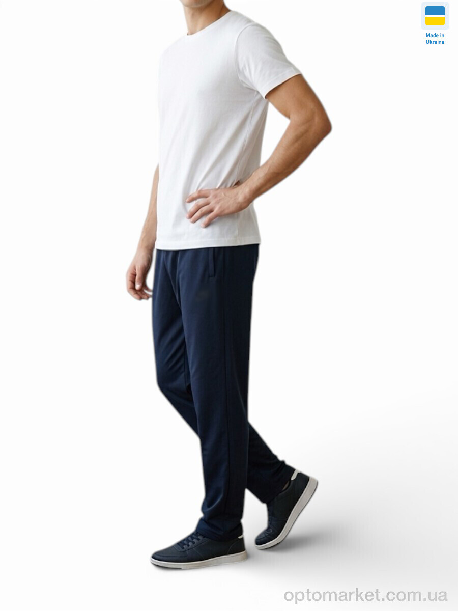 Купить Спортивні штаны чоловічі 20NI т.синій N.ke синій, фото 1