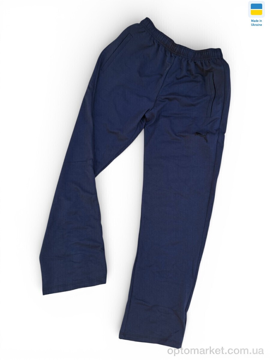 Купить Спортивні штаны чоловічі 20Pu синій P.ma синій, фото 2
