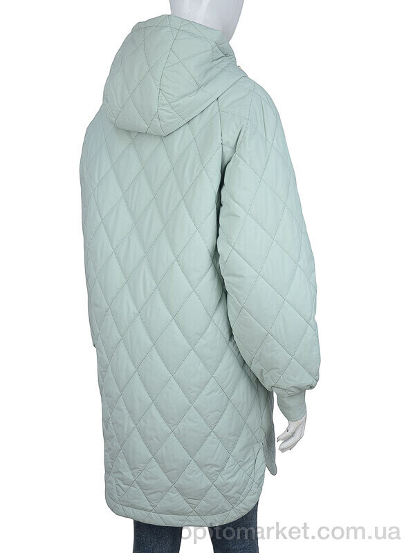 Купить Куртка жіночі 22-551 blue Aixiaohua зелений, фото 2