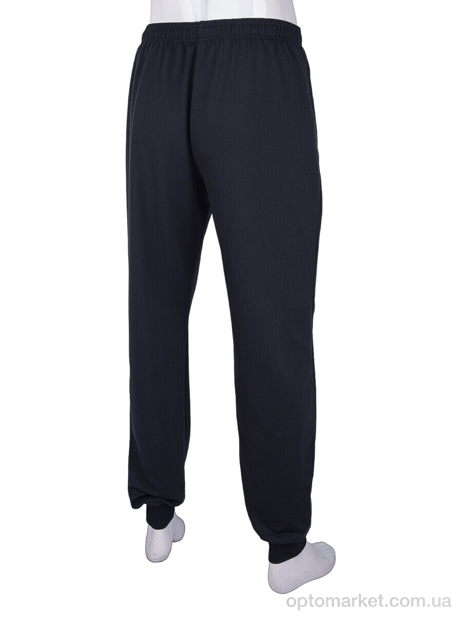 Купить Спортивні штаны чоловічі 22 navy P.ma синій, фото 3