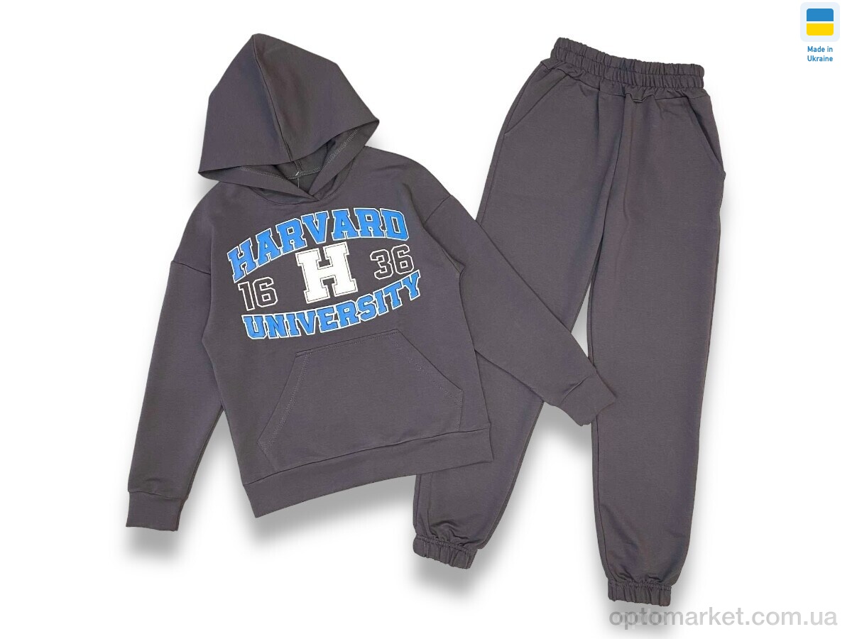 Купить Спортивний костюм дитячі 2403 grey (128-152) LiMa сірий, фото 1