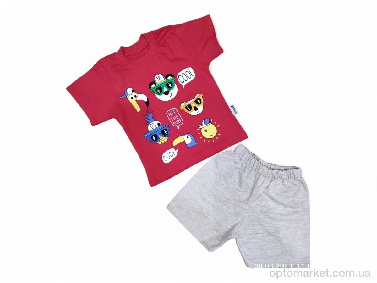 Купить Костюм дитячі 2510 червоний Eymus Kids червоний, фото 1