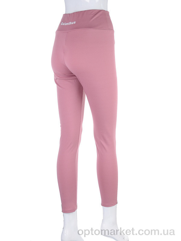 Купить Спортивні штаны жіночі 2930-017 mix Мир мікс, фото 3