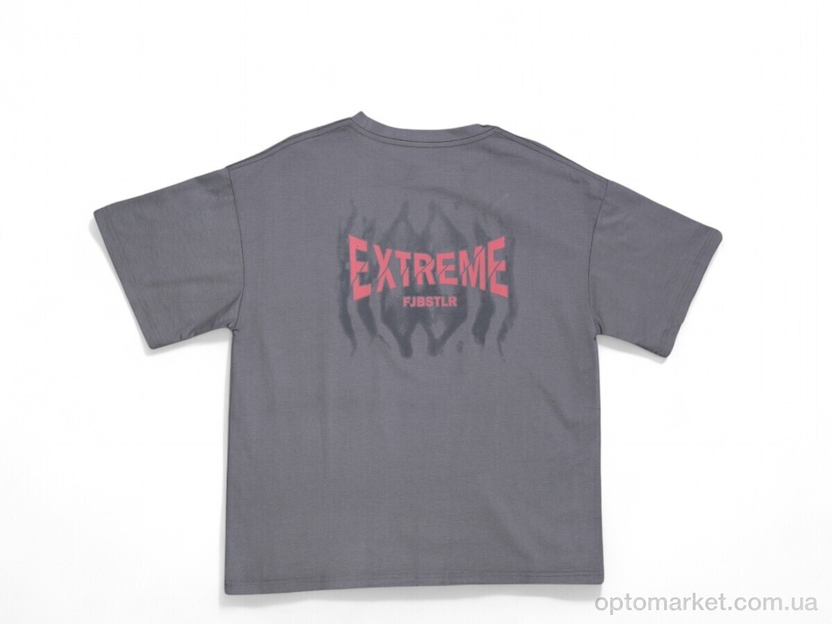 Купить Футболка дитячі 3216 grey Baron сірий, фото 2