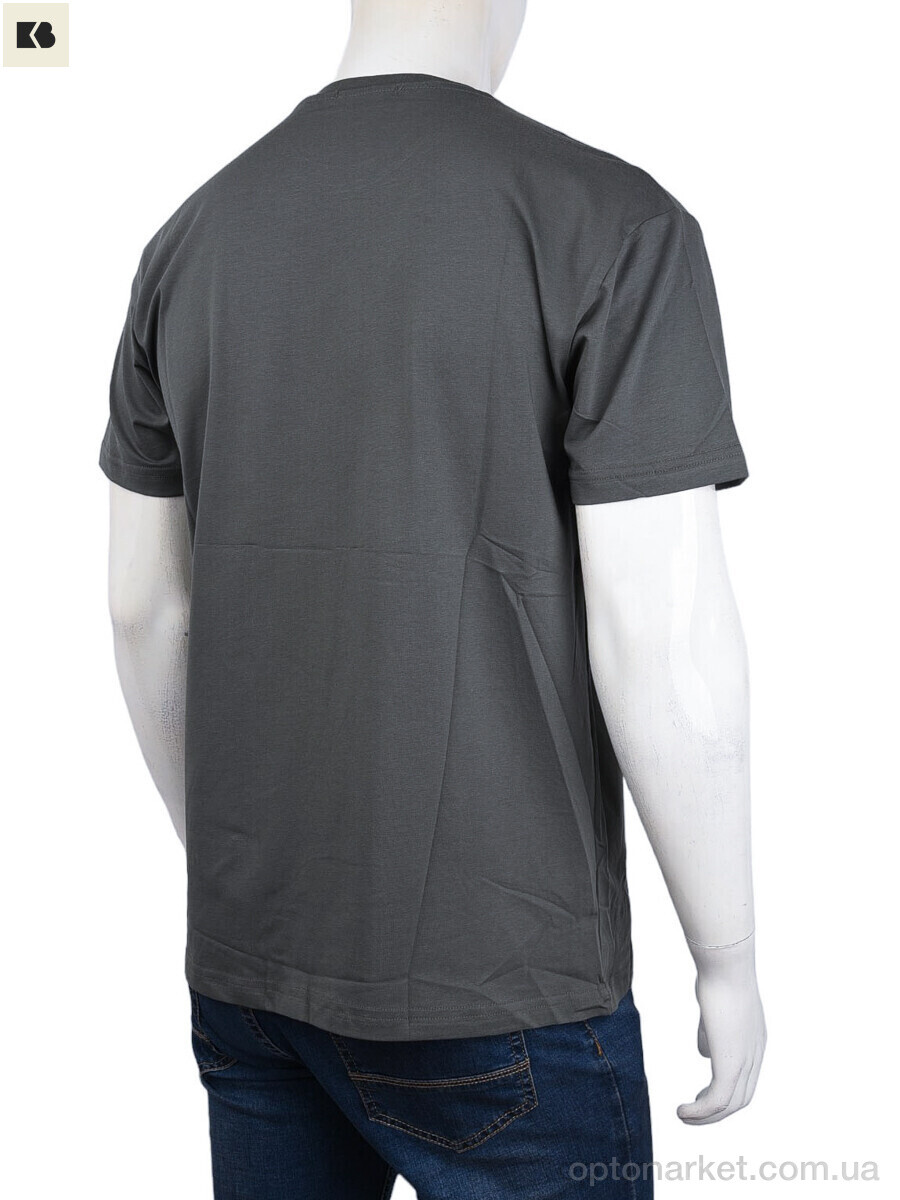 Купить Футболка чоловічі 3707-113-4 grey Daniel Jones сірий, фото 2
