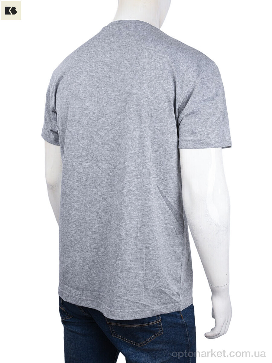 Купить Футболка чоловічі 3707-113-8 grey Daniel Jones сірий, фото 2