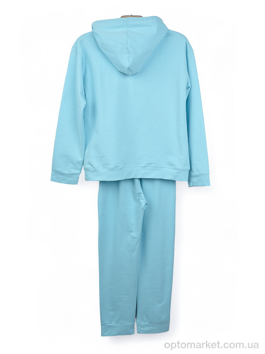 Купить Спортивний костюм дитячі 3750-805-2 l.blue Geen блакитний, фото 2