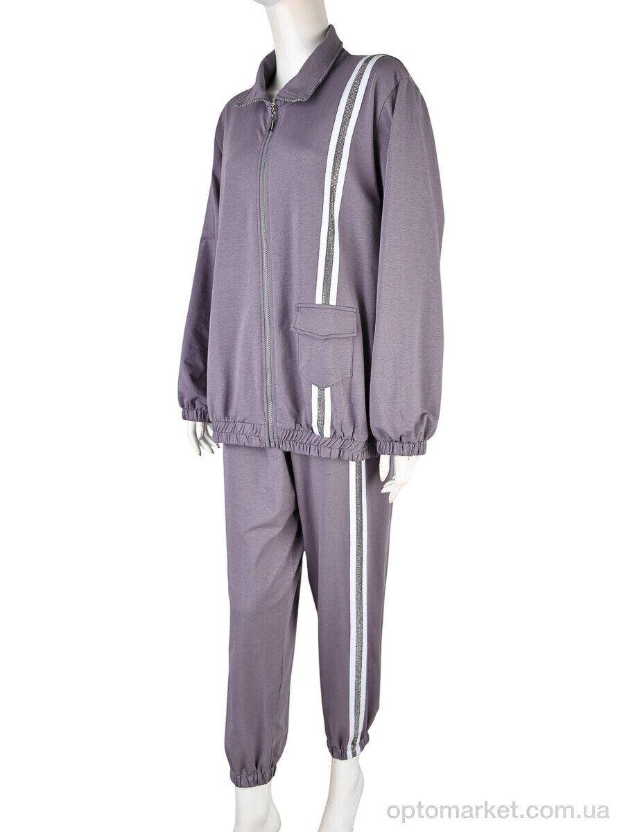 Купить Спортивний костюм жіночі 4011-373 grey Saint Wish сірий, фото 1