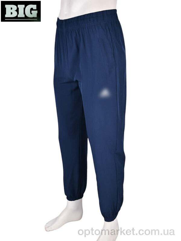 Купить Спортивні штаны чоловічі 4033-A01-2 navy A.idas синій, фото 1