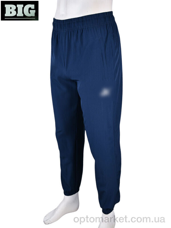 Купить Спортивні штаны чоловічі 4033-A05-2 navy P.ma синій, фото 1
