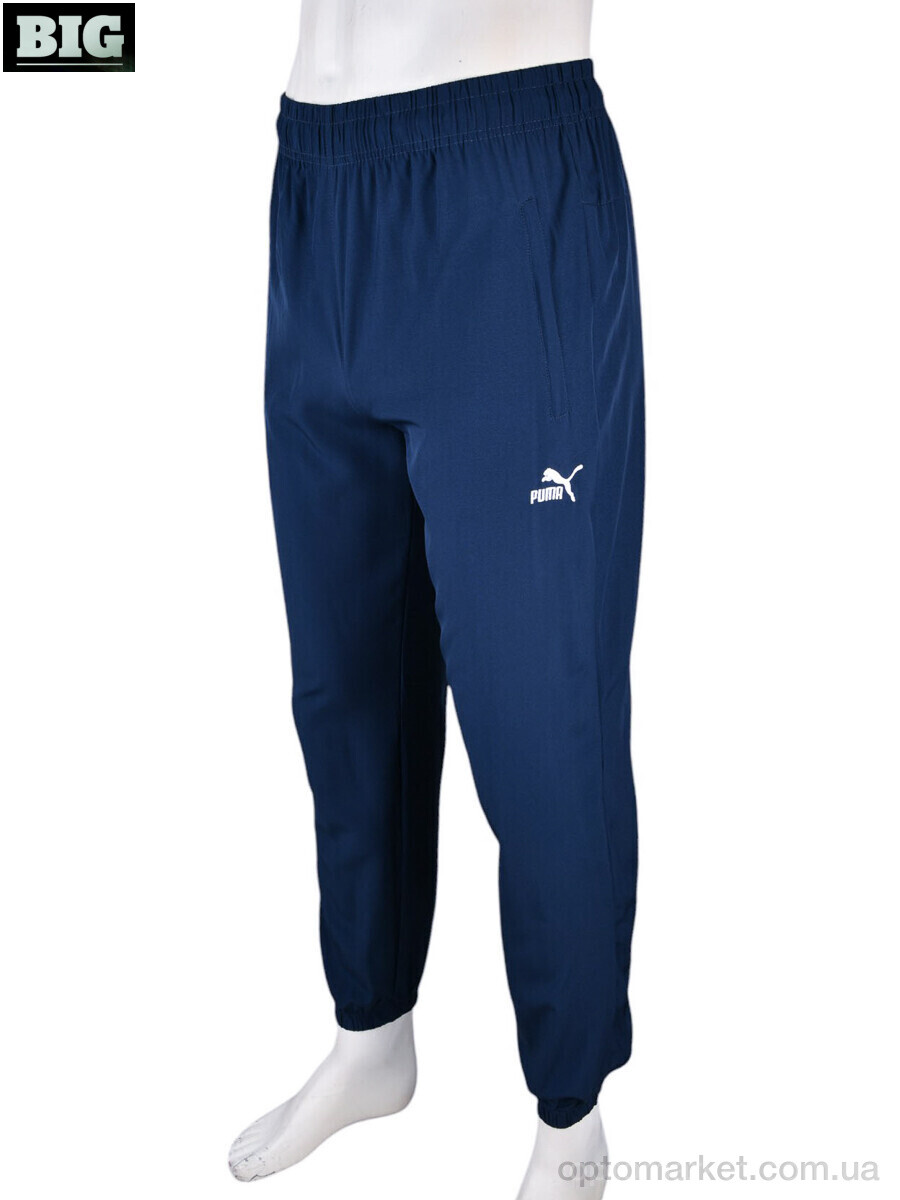 Купить Спортивні штаны чоловічі 4033-A05-2 navy P.ma синій, фото 2