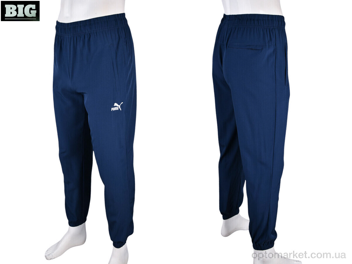 Купить Спортивні штаны чоловічі 4033-A05-2 navy P.ma синій, фото 4