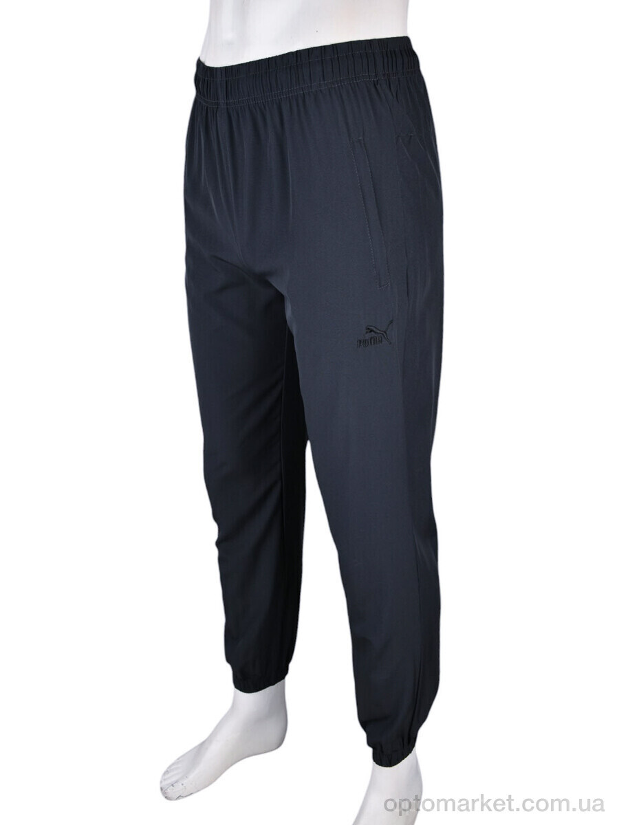 Купить Спортивні штаны чоловічі 4033-A05-3 grey P.ma сірий, фото 2