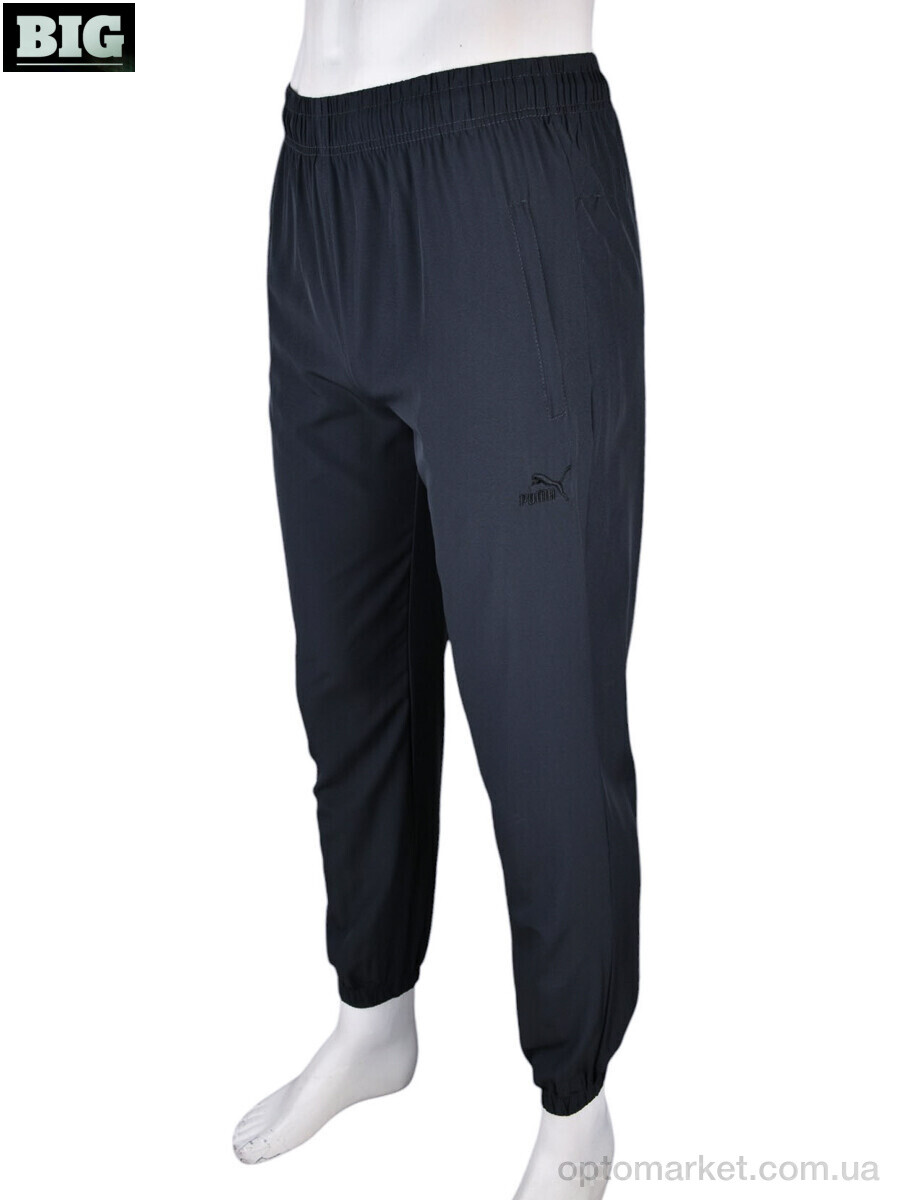 Купить Спортивні штаны чоловічі 4033-A05-3 grey P.ma сірий, фото 2