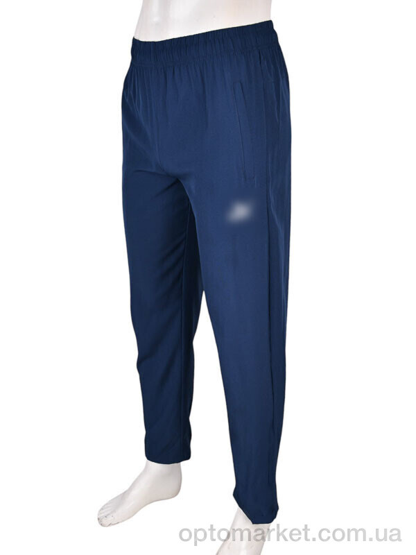 Купить Спортивні штаны чоловічі 4033-A06-2 navy P.ma синій, фото 1