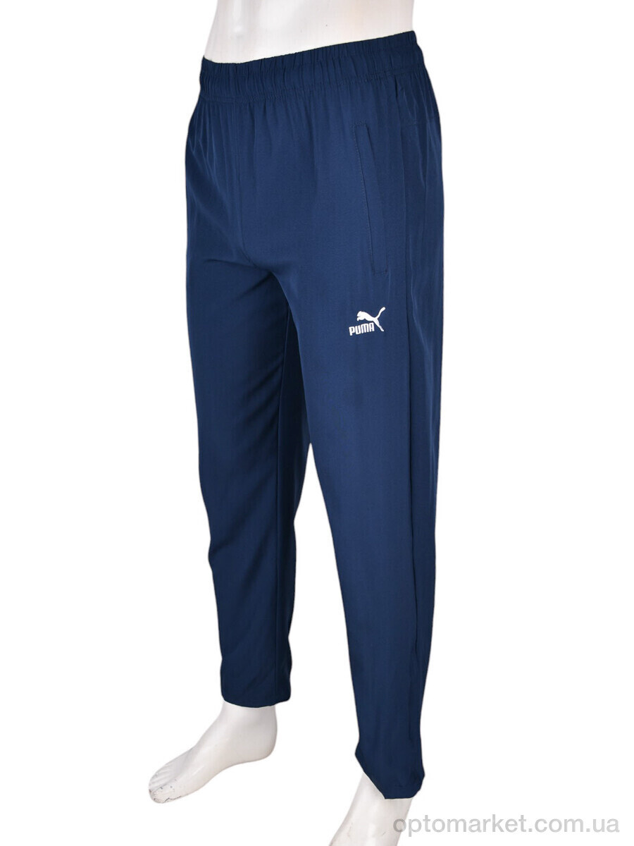 Купить Спортивні штаны чоловічі 4033-A06-2 navy P.ma синій, фото 2